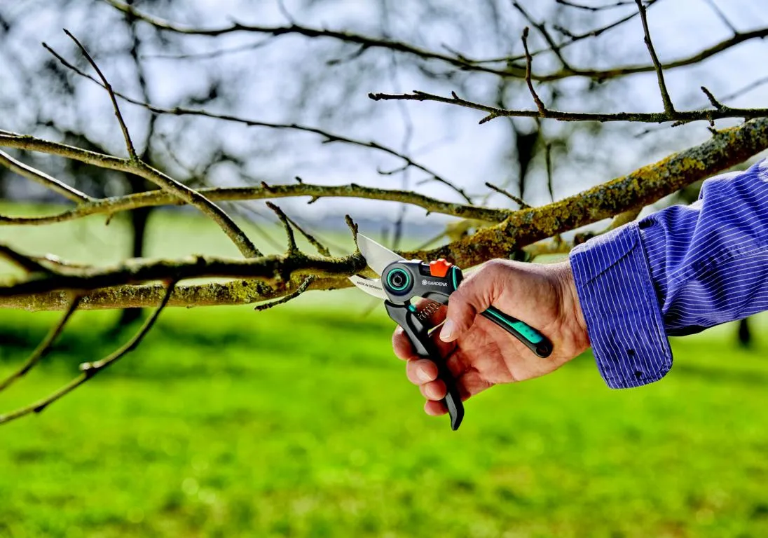Gartenschere ExpertCut