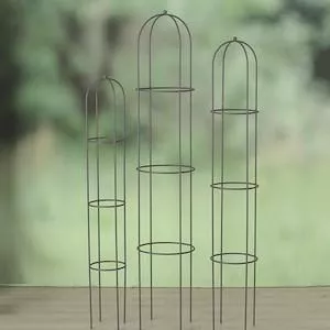 Rankhilfe Obra, H 200,00 cm,