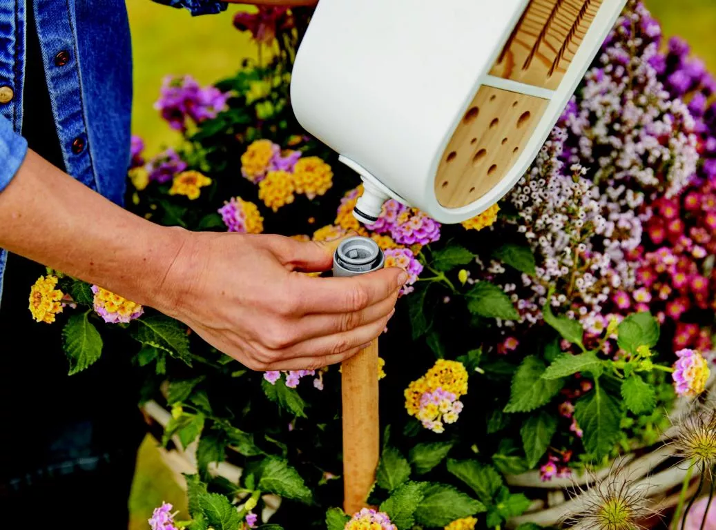 ClickUp! Insekten Hotel