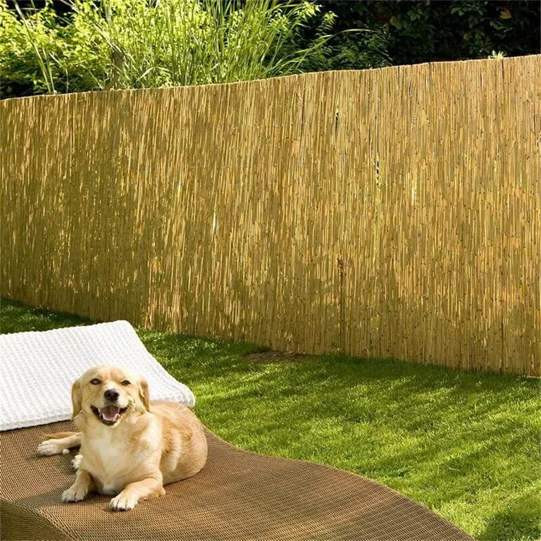 Schilfrohrmatte Nizza