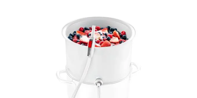 Dampfentsafter f&uuml;r Fr&uuml;chte und