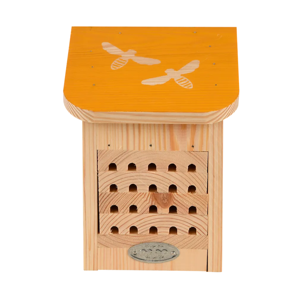 Diapositives Bienenhaus