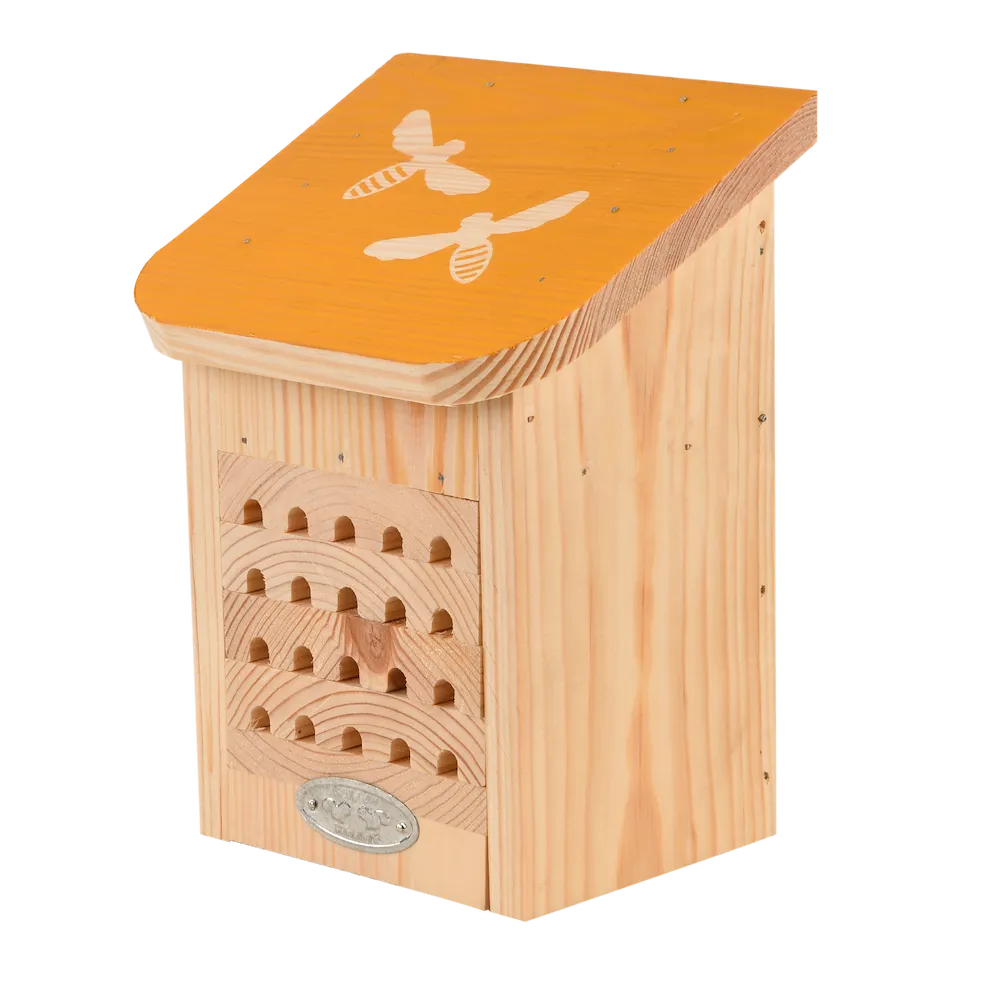 Diapositives Bienenhaus