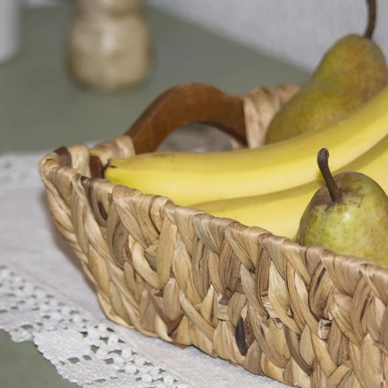 Schale rechteck., mit 2 Griffe Wasserhya