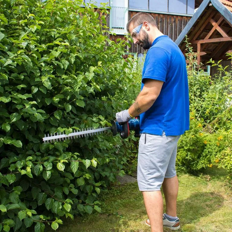 Akku-Heckenschere