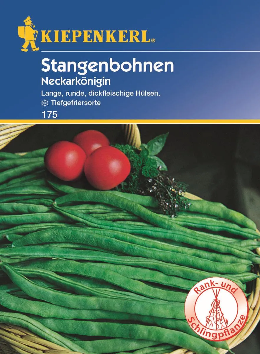 Stangenbohne Ne