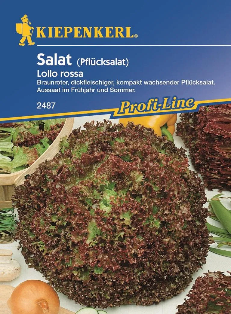Pfl&uuml;cksalat Lol