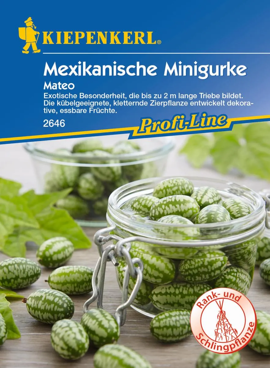 Mexi. Minigurke