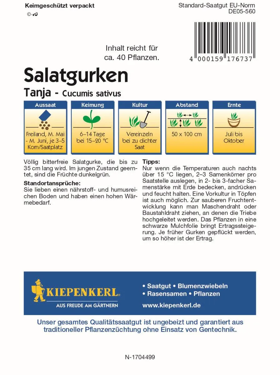 Salatgurke Tanj