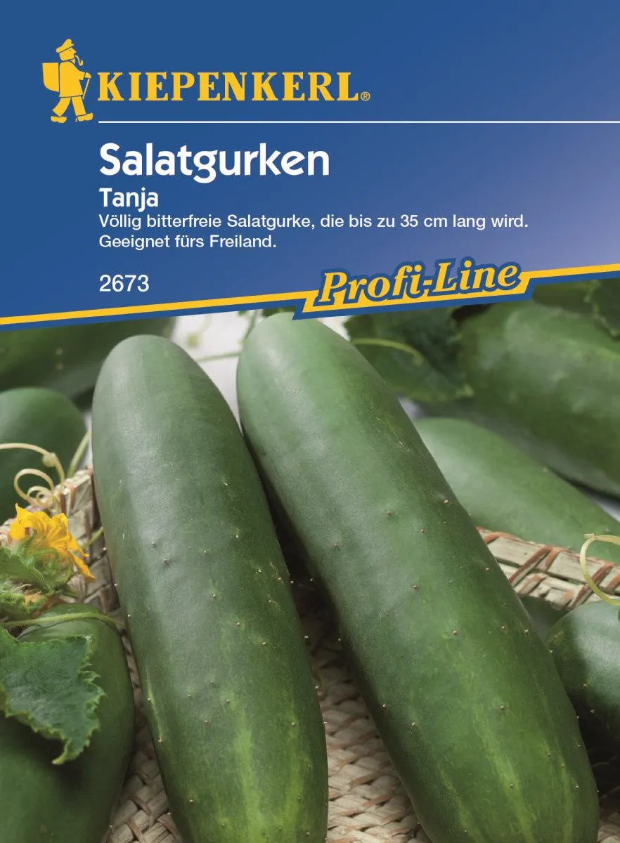 Salatgurke Tanj