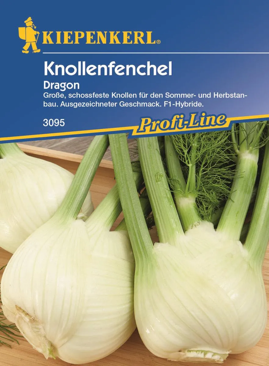 Knollenfenchel