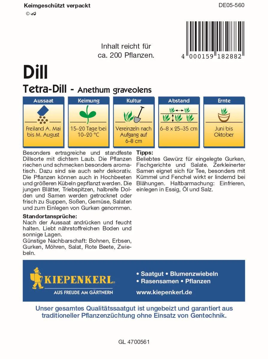 Dill Tetra
