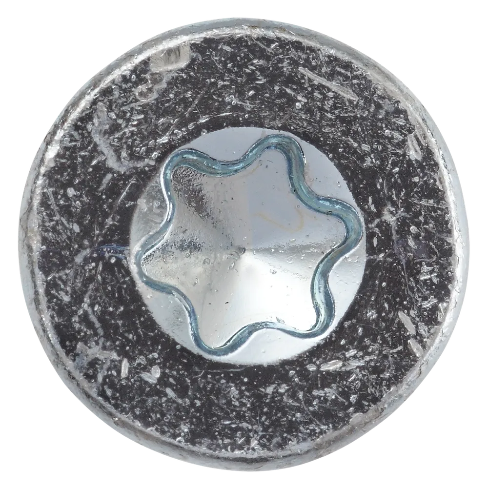 INNENVIELZ.VZ TG FUER