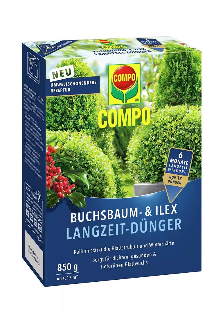 COMPO Buchsbaum- und Ilex