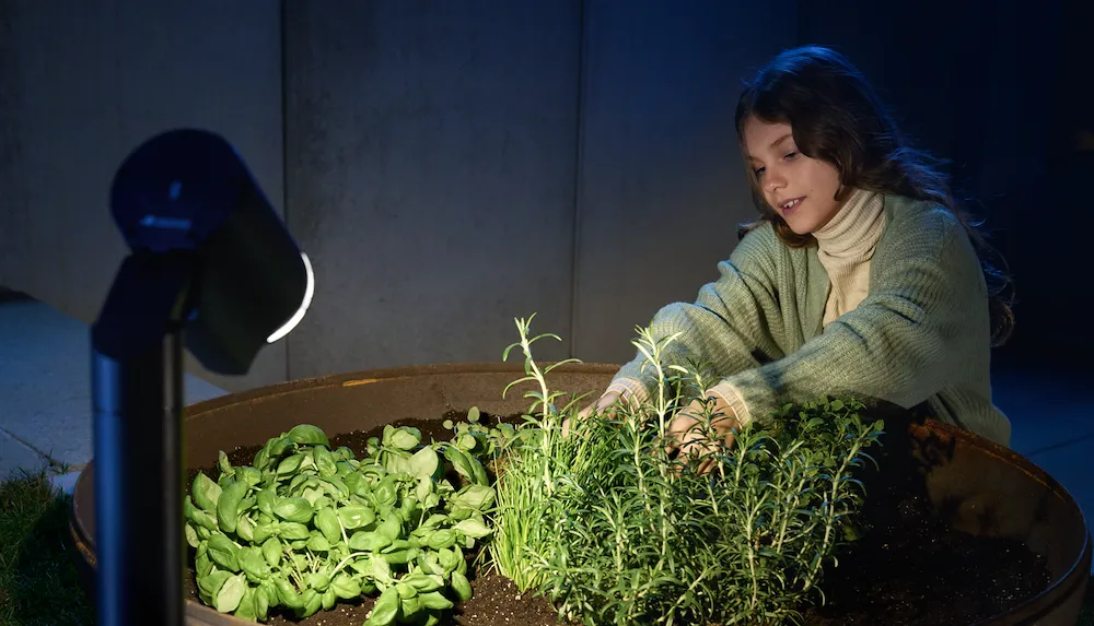 LED Strahler Spot Way ant.