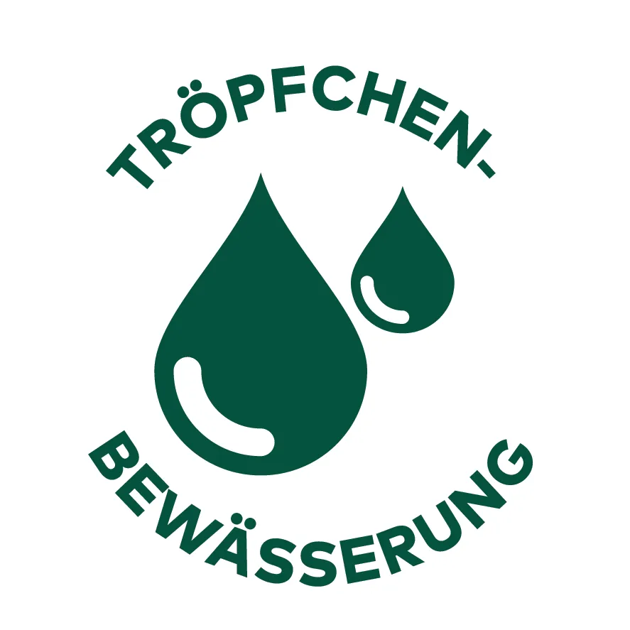 CUXIN DCM Bew&auml;sserungssack