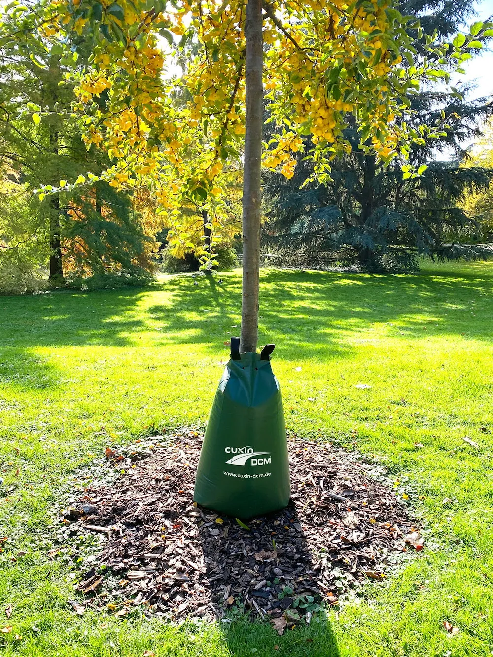 CUXIN DCM Bew&auml;sserungssack