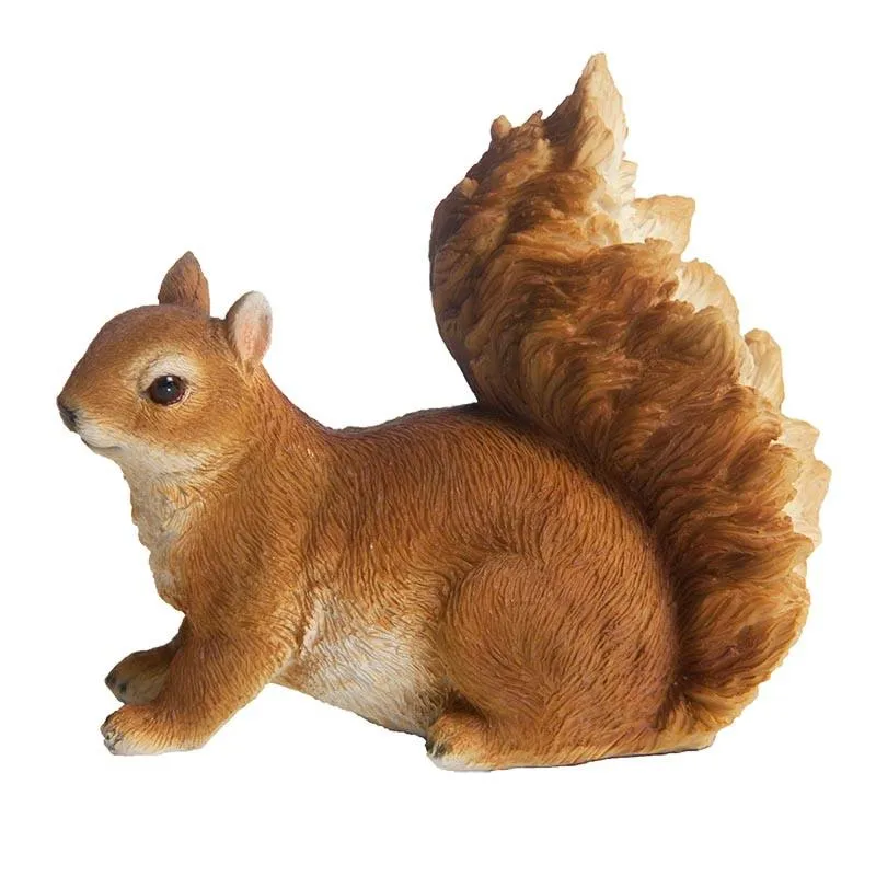 Eichh&ouml;rnchen S