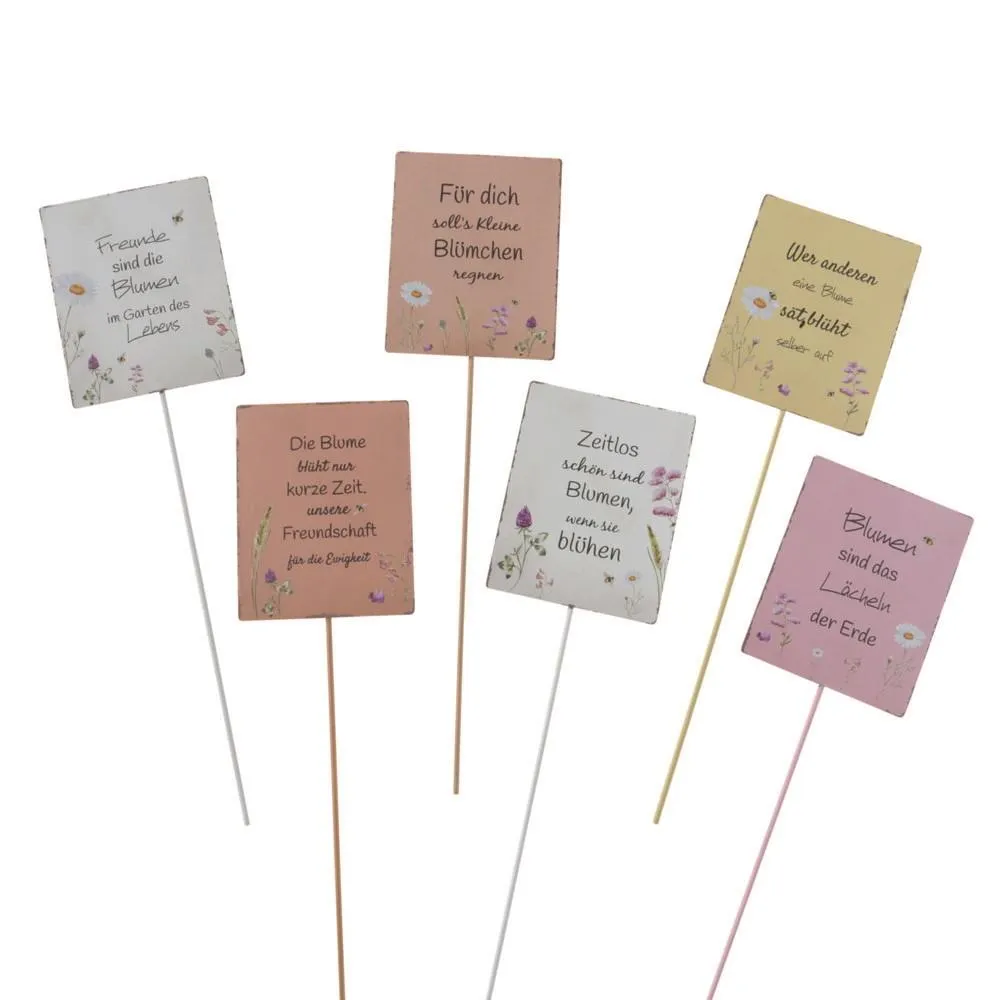 Topfstecker Daysa, 6 sort.,