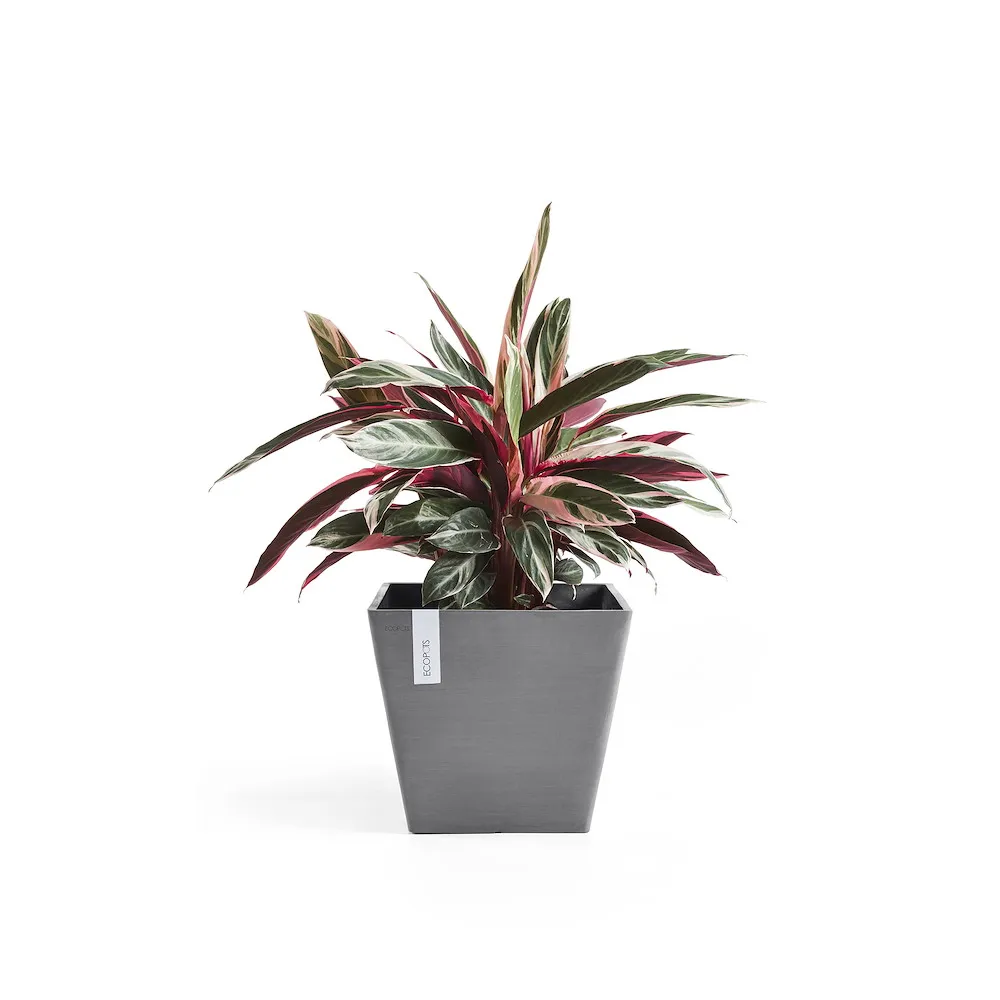 Ecopots Rotterdam grau