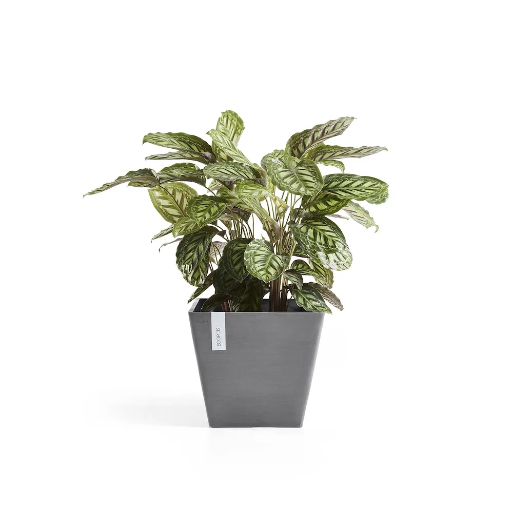 Ecopots Rotterdam grau