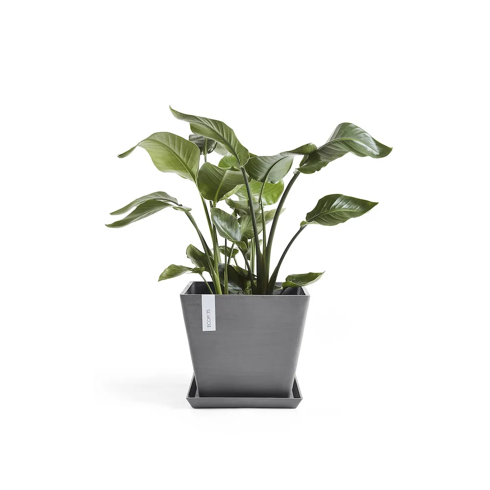 Ecopots Rotterdam grau