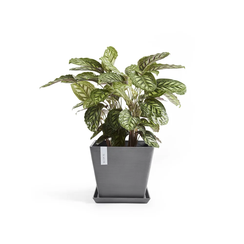 Ecopots Rotterdam grau