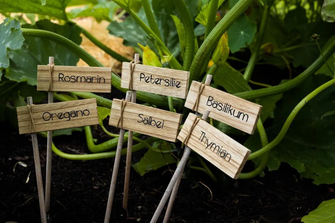 Topfstecker Kr&auml;uter, 6 sort.,