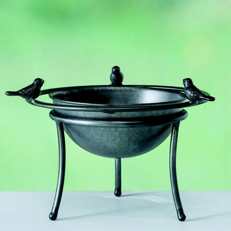 Vogeltr&auml;nke / -bad Jackson, H