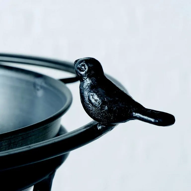 Vogeltr&auml;nke / -bad Jackson, H