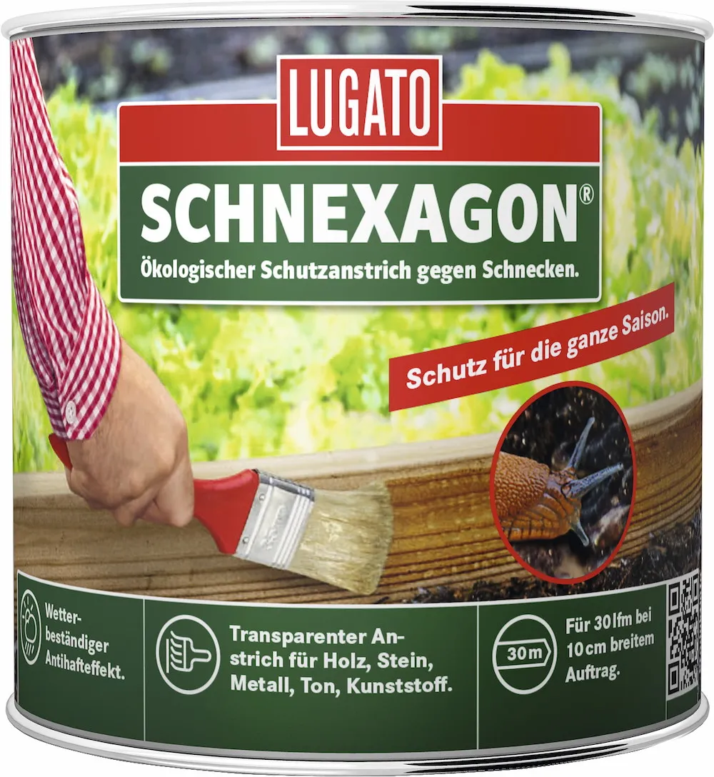 Schnexagon