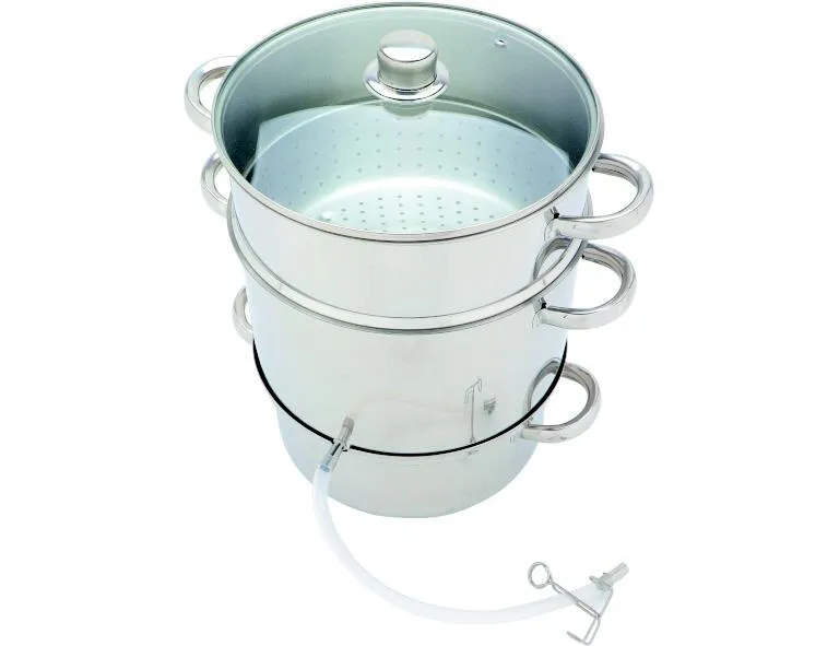 Dampfentsafter mit Glasdeckel