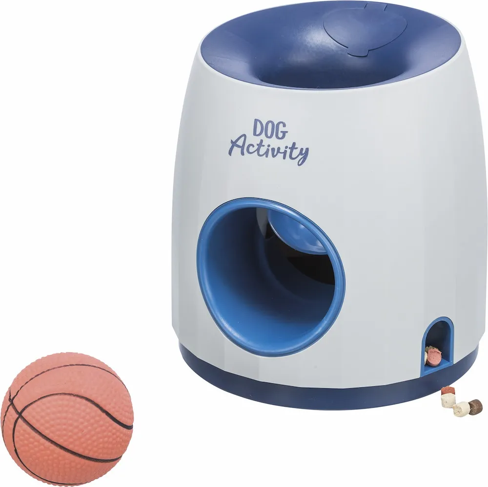 Dog Activity Strategie-Spiel