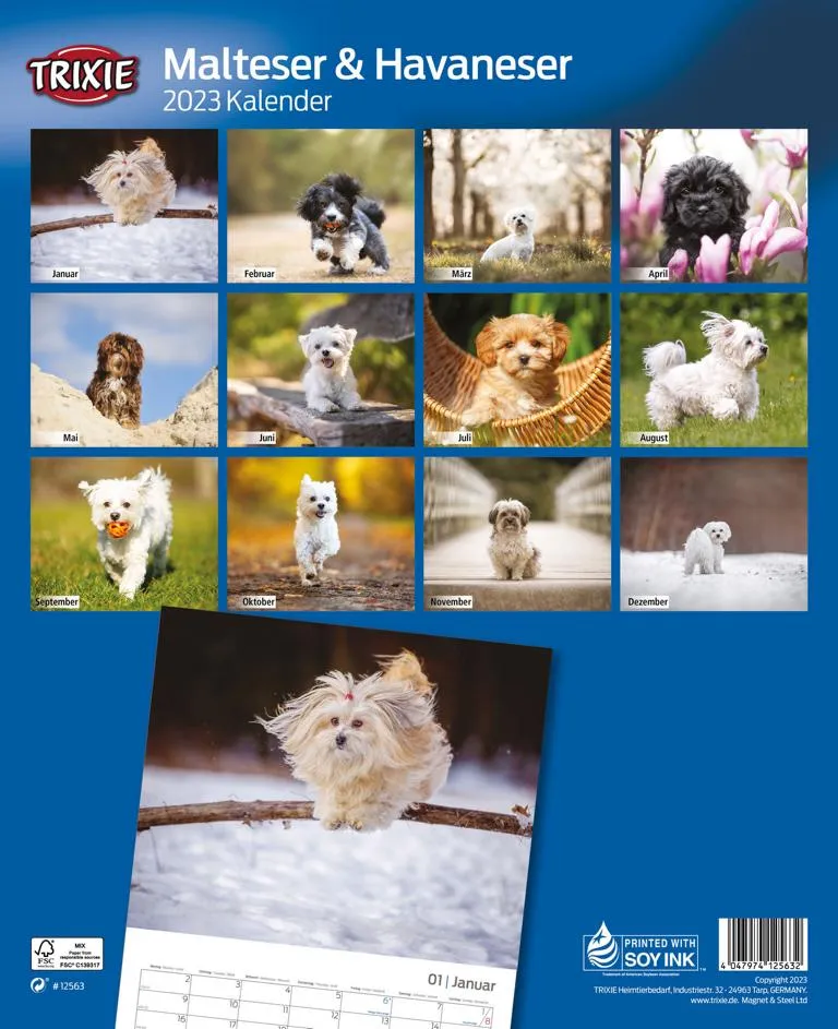 Kalender Malteser / Havaneser