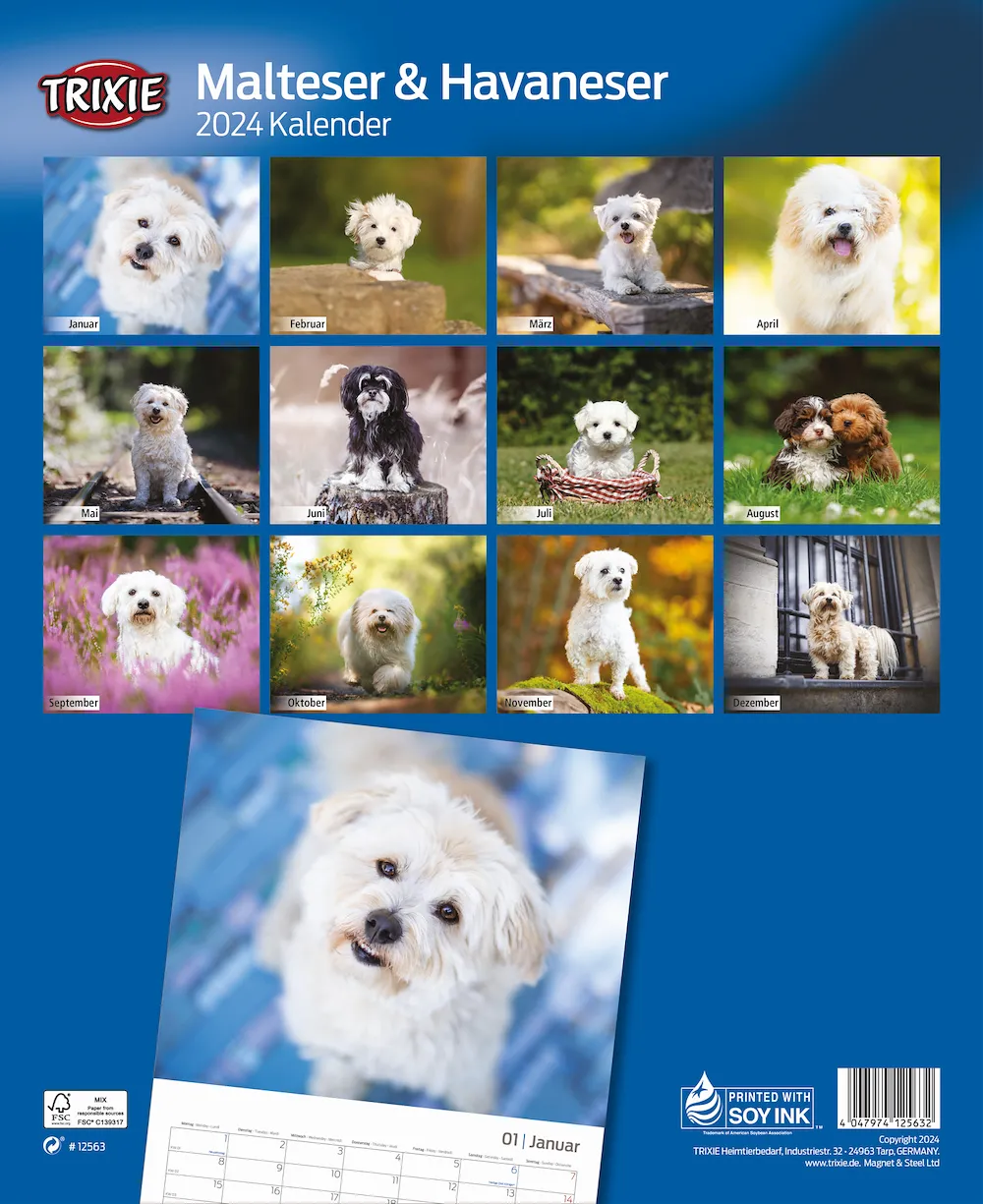 Kalender Malteser / Havaneser