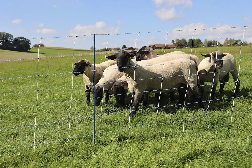 TitanNet Premium Vario,50m,+/-