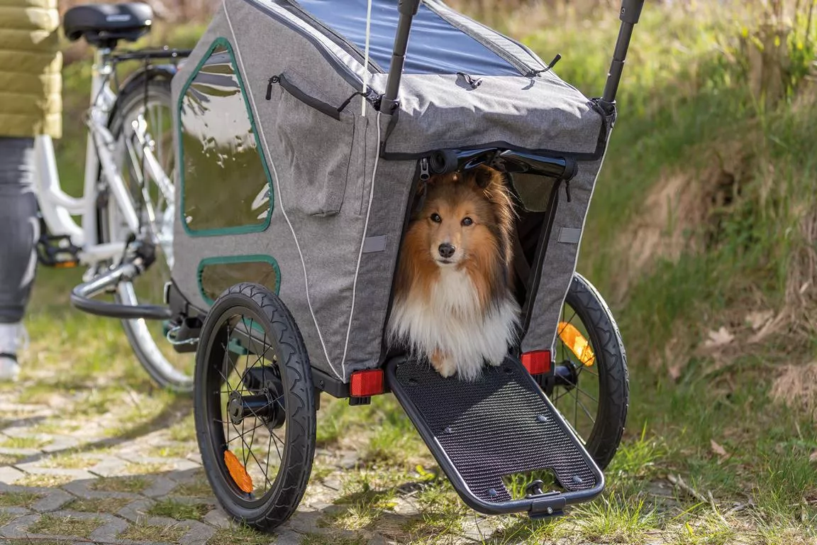 Fahrrad-Anh&auml;nger