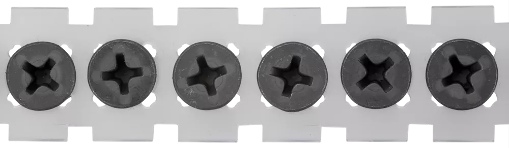 SCHNELLBAUSCHR.PHOSPH.GG PHIL.