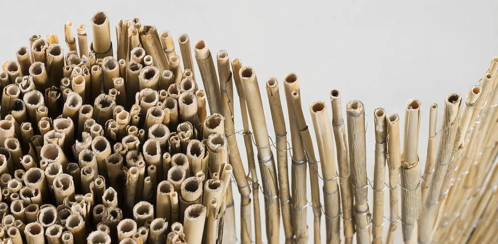 Sichtschutz Schilf Comf.Plus