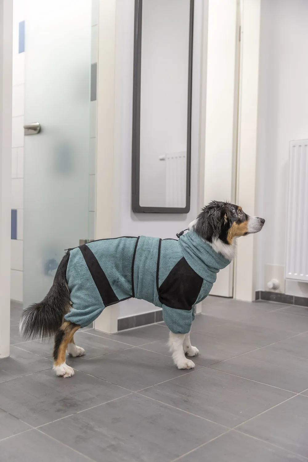 Bade- & Hausoverall f&uuml;r Hunde