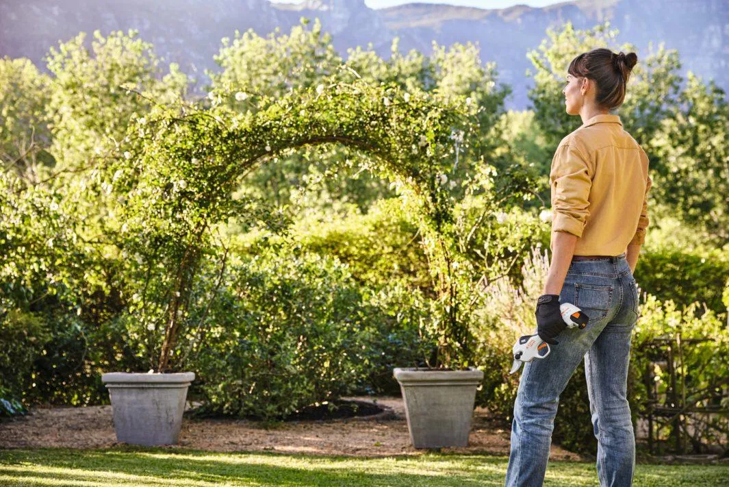 STIHL Akku Astschere ASA 20 Set