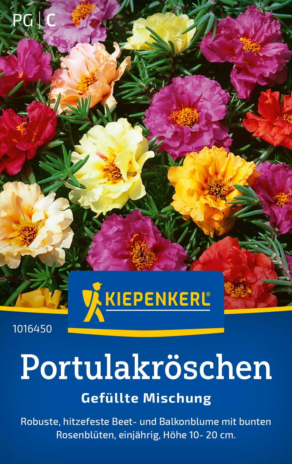 Portulakr&ouml;schen Gef&uuml;llte