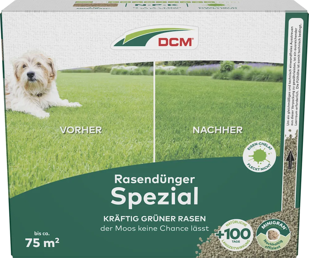 CUXIN DCM Rasend&uuml;nger