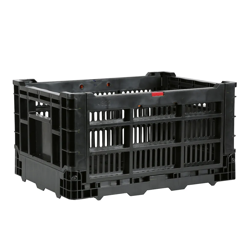 Schmutzwasserpumpe Flutset